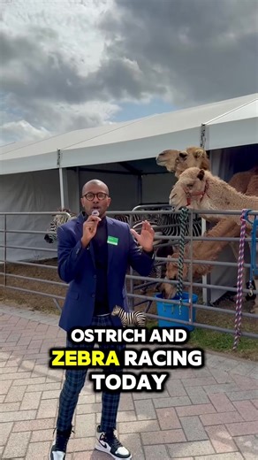 Tonight is going to be WILD at the track! 🐎🐪🦓