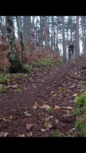 This feeling of flowy MTB trails is unmatched! #mtb #mtblife #mtblove