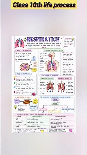 class 10th biology ch - life process easy explanation notes 📝📌#notes