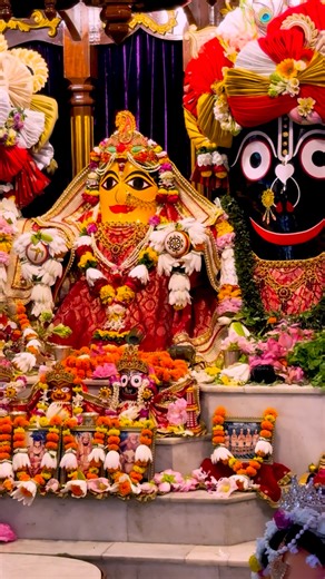 1.6K reactions · 17 shares | nomoste probhu jagannath⭕️❗️⭕️ #Rajapur Jagannath Temple #reelsviralシfb #foryouシpage #lifestyle #mayapurdham @highlight | Krishna Priya Devi Dasi | Facebook