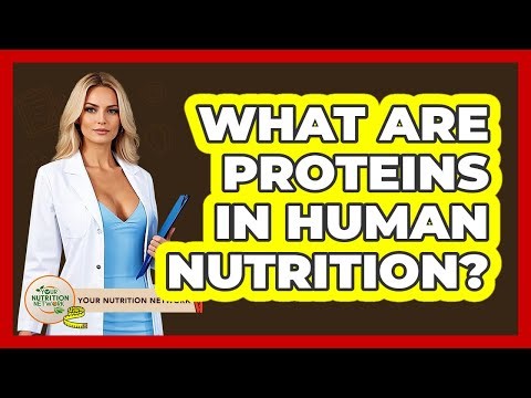 What Are Proteins In Human Nutrition? - Your Nutrition Network