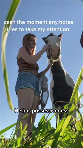 Horse.exe has stopped working.#shorts #funny #horse #funnyanimals #2026