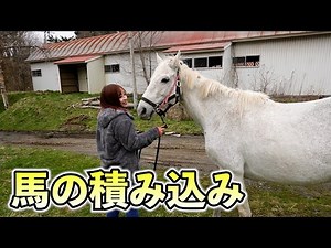 【大型トラック】実際に競走馬を積み込み