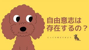 【哲学？】人間に自由意志はあるか？【科学？】
