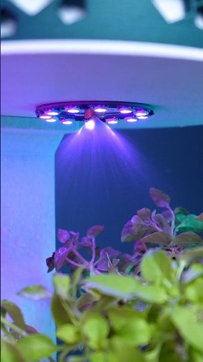 A Simple Idea and a 3D Printer #3dprinting #diy #bambulab #3dprint #diy #3dprinted ‪@BambuLab‬