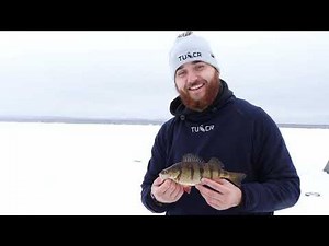 906 Outdoors - Ice Fishing Gogebic Perch