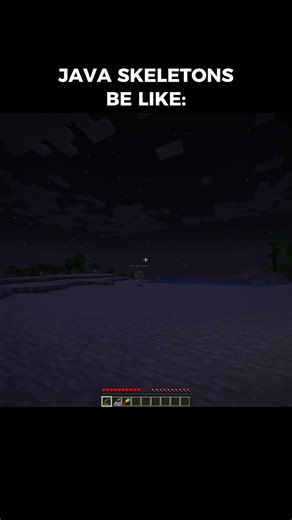 Minecraft Bedrock Vs Java Skeletons #minecraft #fyp #english