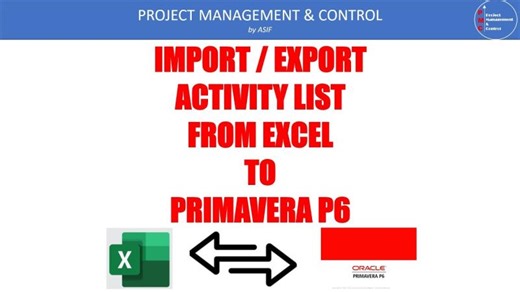 Importing Activity Lists from Excel to Primavera P6 | Muhammed Asif posted on the topic | LinkedIn