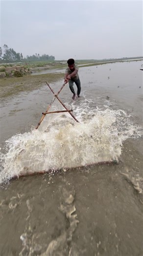 This Net Fishing Method is TOO EASY