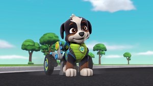 Dino-Rettung: Die Welpen und das Dino-Ei - Paw Patrol (Staffel 7, Folge 6) - Apple TV (DE)