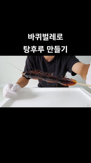 바퀴벌레 탕후루 만들기