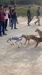 2.5M views · 7.9K reactions | Robot dog vs street dogs  روبوٹ کتا...