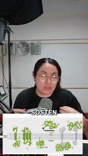 Comprendiendo la Membrana Plasmática en Biología