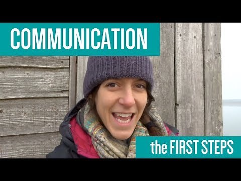 What is Intensive Interaction?