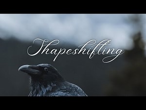 Unlocking the Power of Shapeshifting Through the Senses