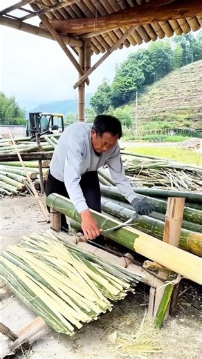 Shaving bamboo for papermaking: Eco-friendly, high-quality, and biodegradable