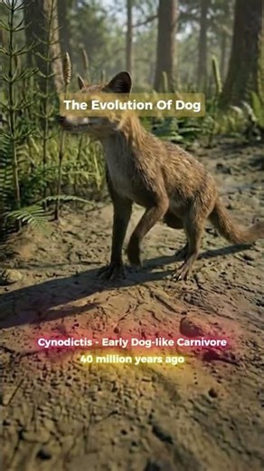 The Evolution of Dog 🐺➡️🐶 | From Sea to Best Friend