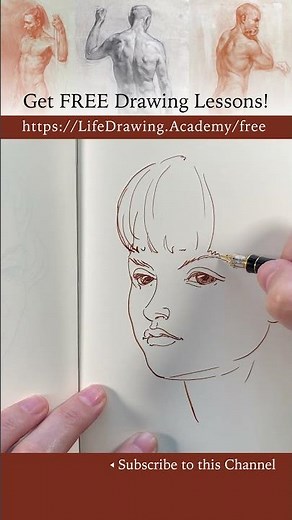 How to draw a fast portrait sketch: https://lifedrawing.academy/free
