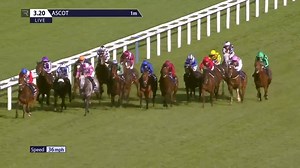 9.8K views · 172 reactions | “I think he could nearly be one of the best we’ve had. I’d definitely have him up there in the same band as Canford Cliffs, Olympic Glory and Toranado." Richard Hannon has high hopes for King Of Change. Read more >>> https://www.racingtv.com/news/hannon-has-high-hopes-for-ascot-bound-king-of-change | Racing TV | Facebook