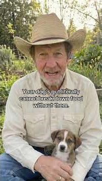 If your dog is eating it’s own poop theyre crying out for help 💩