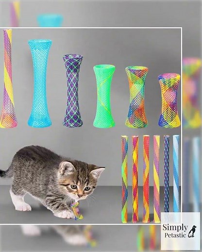 Colorful Cat Spring Toys for Interactive Play 60pc