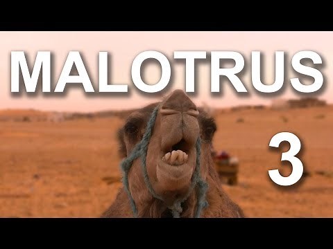 LES MALOTRUS 3 - PAROLE D'ANIMAUX