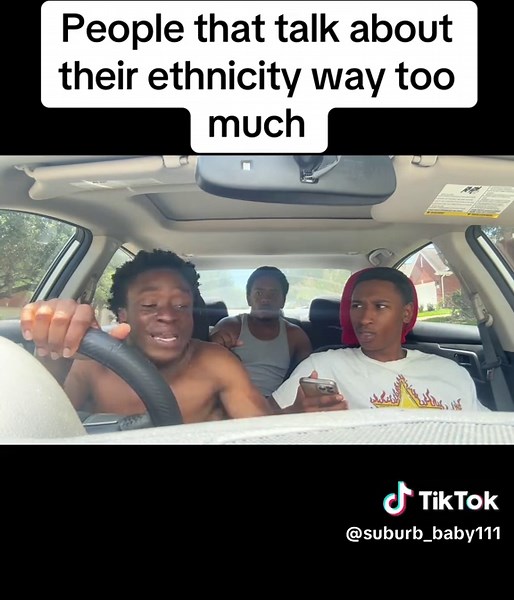 Exploring Excessive Ethnic Discussion in Suburban Culture
