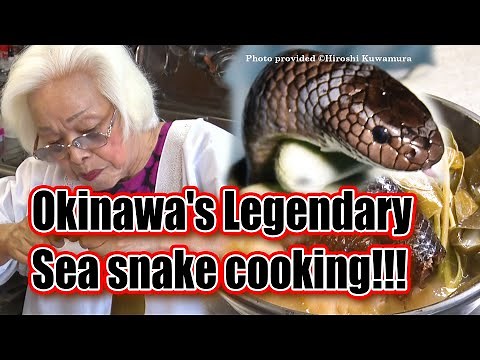 Okinawa's Legendary sea snake cooking