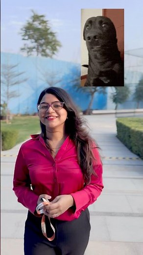 Life of a Corporate employee|Come with me in Optum UHG #optum#corporate#shortvideo#shortsfeed#shorts