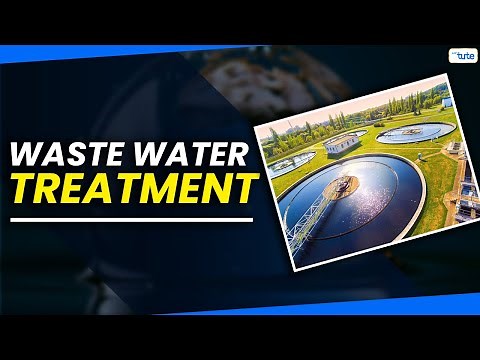 How Do Wastewater Treatment Plants Work? 🌊 | Letstute