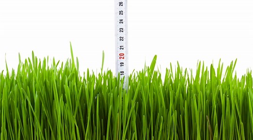 Top 100 Teacher Confidential: The secret to putting on Bent, Bermuda and Poa Annua grass