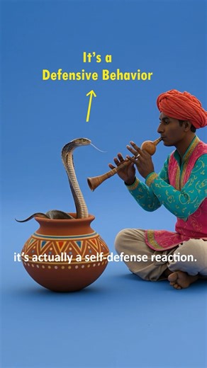 Snake Charming : How It Works #shorts #snake