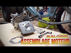 Montage kit 70cc FULL MALOSSI + rectification culasse - Projet 103 style Grasstrack [Part.6]