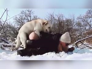 Woman fucks dog - Extreme Sex Videos