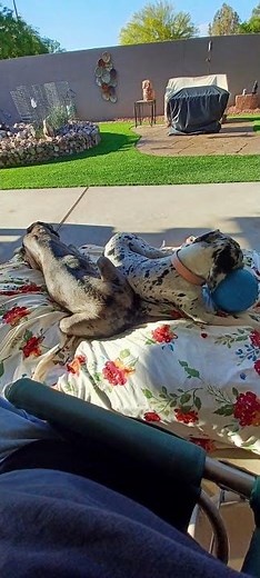 Ruby May (04/24/2024 - 04/19/2025)