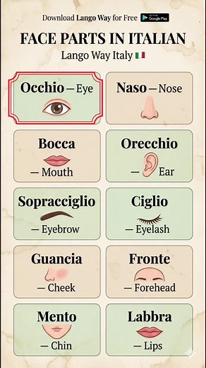 Italian quiz for beginners: basic Italian practice