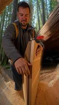 Inside the Biggest Tree Log on Earth: My Luxury Modern Home Built Alone