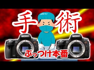 20210227 Aマウント怨み節 Part3 SONY α55をドナーにα33の命を救う、ぶっつけ本番スワップ手術、ニコイチ修理は成功するのか？うまく行ったらお慰み。