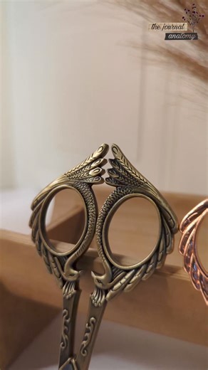 Vintage Aesthetics ✨ | The Journal Anatomy