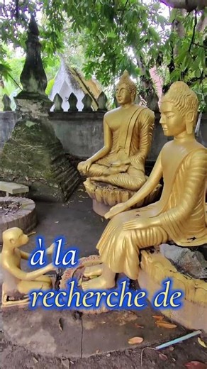 Dans mon jardin secret : Les Huit Branches du Chemin Bouddhiste