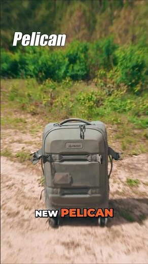 Pelican Aegis Roller Case Travel Review
