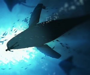 Whale Dreams Live Wallpapers