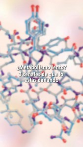 Un metabolismo desequilibrado no solo afecta tu peso: también puede modificar tu energía ⚡ y la calidad de tu descanso 😴. Factores como el estrés prolongado o los malos hábitos de sueño pueden dañarlo sin que lo notes. Detectarlo a tiempo te permite recuperar estabilidad hormonal y mejorar tu bienestar general. 📲 Agenda tu consulta de valoración por WhatsApp: 222 131 0219 📍 Hospital Ángeles Puebla 👨🏻‍⚕️ Dr. Juan Arturo León ℹ️ Cédula Profesional: 10398297 UNACH ℹ️ Cédula de Especialidad: 13