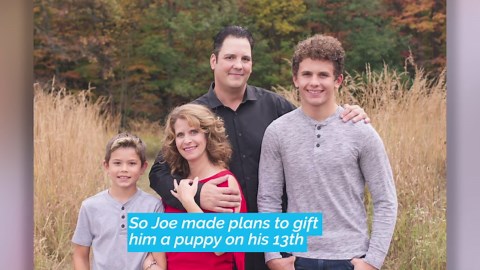 Boy surprised with puppy from father who arranged gift before he died | Happily best of