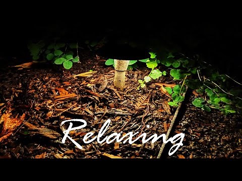 【The sound of insects at night-3 hours】Relaxation, meditation, yoga, sleep, white noise, ASMR