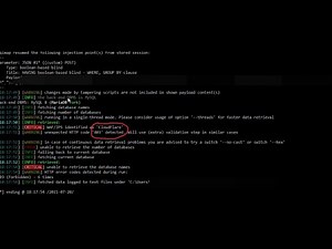 [Blind SQLI] SQLMAP Bypass Cloudflare WAF - Database Takeover