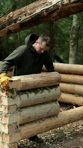 1.6M views · 13K reactions | Built a Bushcraft Log Cabin in the wild forest from trees - No power tools Part 3 . #bushcraft #logcabin #survival #asbjornbushcraft #tinyhouse #offgrid #outdoors #bushcraftshelter #camping | Francis Douglas | Facebook