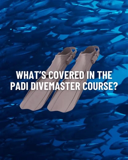 PADI on Instagram: "The PADI Divemaster Course is your first step into professional diving! 🙌 Here’s what it focuses on: • Strong swimming and water-skills confidence • Demonstration-quality scuba skills • Dive theory (physics, physiology, equipment, safety) • Real-world experience assisting instructors and guiding certified divers It’s a time-intensive course, but it’s built to develop leadership, confidence, and decision-making in real dive conditions. Ready to learn more? 🤿 Visit the link i