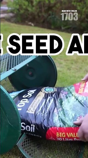 Revive Your Lawn: Simple Steps to Lush Greenery