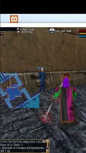 Asheron's Call -- whitingace.ddns.net:9000